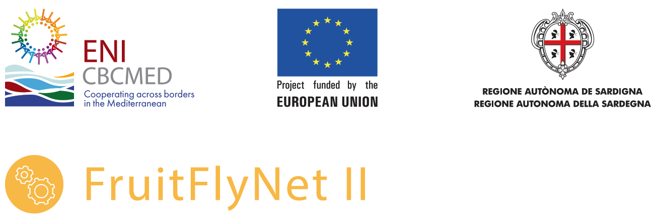 fruitflynet-ii.aua.gr